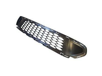 Ford AE5Z-8200-DB Bumper Grille