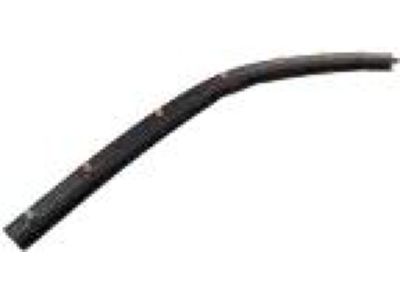 Ford FR3Z-16A239-A Weatherstrip, Driver Side