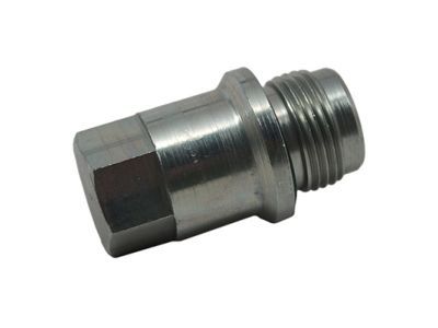 Mercury 6L2Z-7A010-C Plug