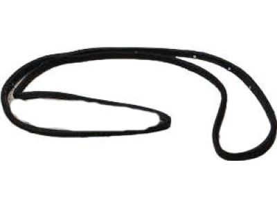 Ford CV6Z-5820708-A Weatherstrip Assembly - Door Opening, Passenger Side