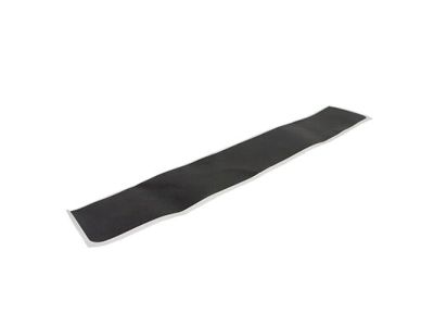 Ford BK3Z-6113282-AA Scuff Plate, Front