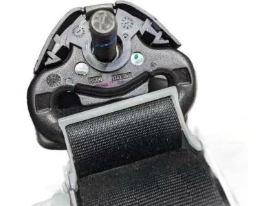 Ford GN1Z-58611B69-AA Seat Belt Assembly, Driver Side