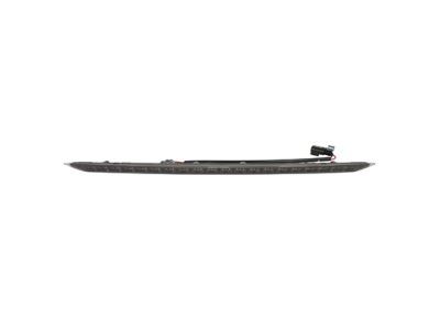 Ford FT4Z-13A613-A High Mount Lamp, Rear