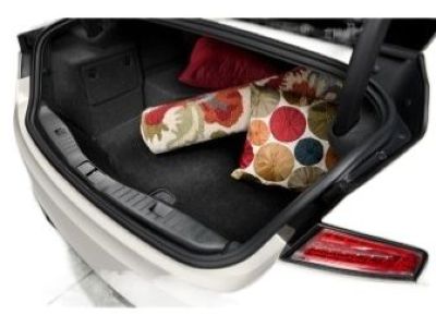 Lincoln DP5Z-5413046-DB Mat - Floor