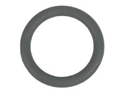 Lincoln AA5Z-00815-A Return Tube O-Ring