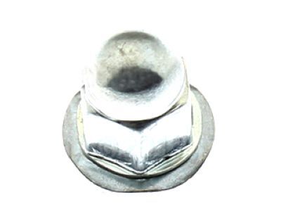 Ford -N620365-S437 Rear Glass Nut, Passenger Side