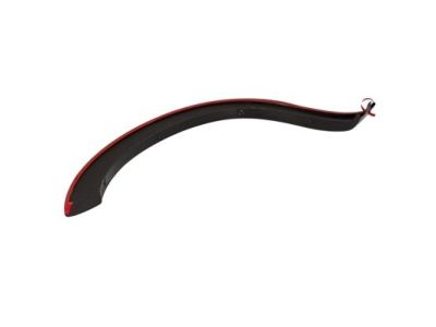 Ford 8C3Z-16038-APTM Wheel Opening Molding, Pueblo Gold, Front Passenger Side