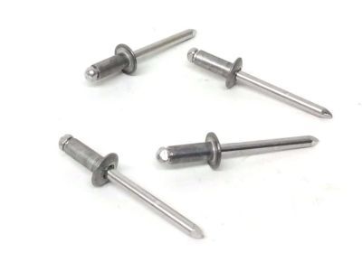 Ford -W525157-S300 Lower Deflector Rivet