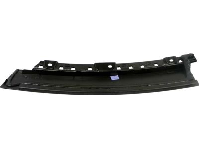 Ford FT4Z-5820555-A Moulding - Door Outside, Driver Side