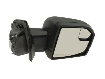 Ford JL3Z-17682-MBPTM Mirror Assy - Rear View Outer
