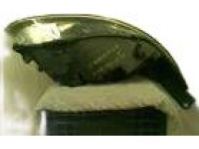 Ford CV6Z-13008-D Lamp Assembly, Driver Side