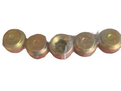Mercury -W704999-S309 Plug - Threaded