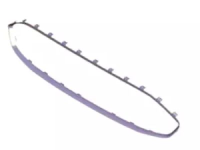 Ford DS7Z-8419-AACP Panel - Finish, Upper