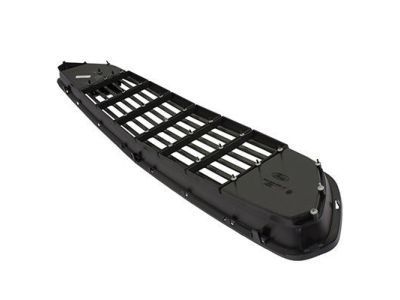 Ford Grille - GR3Z-8200-AC