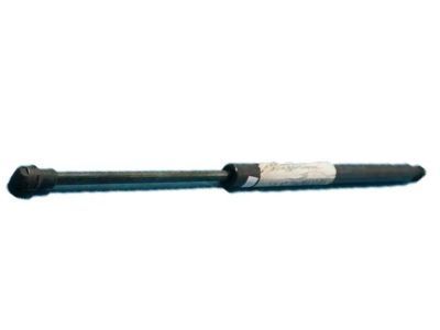 Lincoln 2L1Z-78406A10-BA Support Cylinder