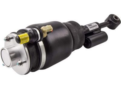 Ford 6L1Z-3C199-AA Air Spring, Front