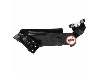 Ford DT1Z-1525000-A Roller Assembly, Passenger Side
