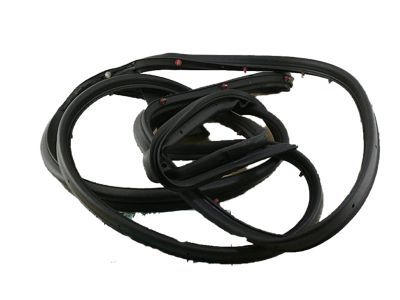 2012 Lincoln MKX Door Seal - 7T4Z-7820531-A