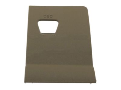 Ford CJ5Z-7804459-CA Lower Cover Plate