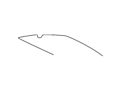 Lincoln 2C6Z-84286B89-AAA Edge Protector