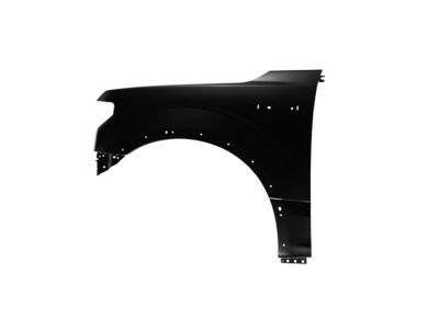 Ford JL3Z-16006-B Fender Assy - Front