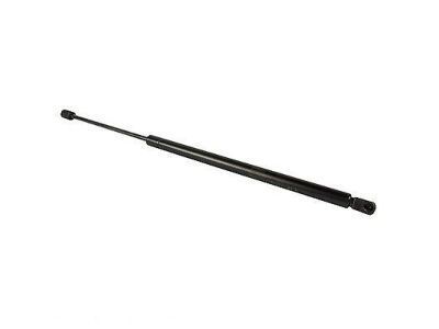 Lincoln AE9Z-16C826-B Lift Cylinder