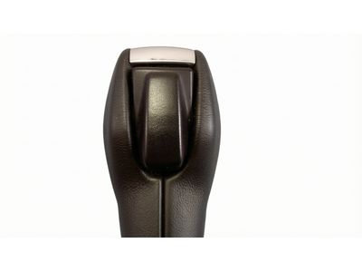 BV6Z-7213-BB Ford Handle Assembly Product Photo 2 of 4