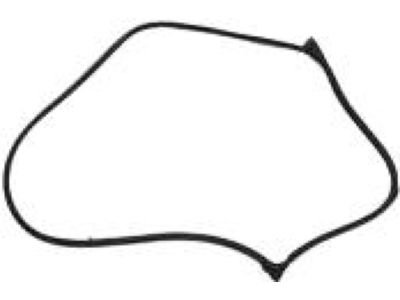 8A8Z-7420530-A Ford Weatherstrip, Passenger Side Product Photo 1 of 1