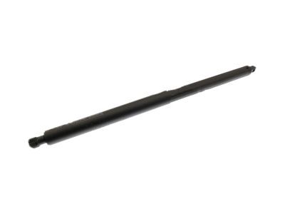 Ford FT4Z-58406A10-B Lift Cylinder
