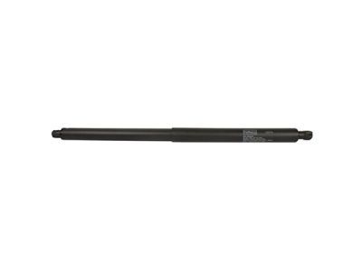 Ford FT4Z-58406A10-B Lift Cylinder