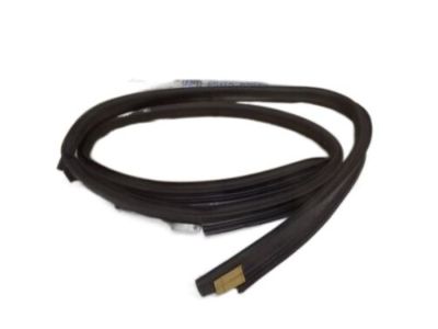 Ford YS4Z-7451823-AA Weatherstrip Assy - Door Opening   