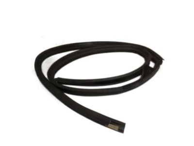 Ford YS4Z-7451823-AA Weatherstrip Assy - Door Opening   