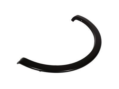 Ford 9L3Z-9929164-APTM Wheel Opening Molding, Rear Passenger Side