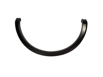 Ford 9L3Z-9929164-APTM Wheel Opening Molding, Rear Passenger Side