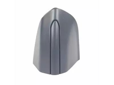 Ford DS7Z-54218A14-ABPTM Bezel, Passenger Side