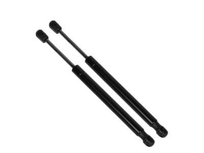 Ford Tailgate Lift Support - DG1Z-54406A10-A
