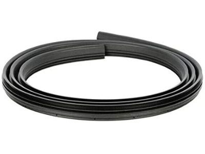 Ford 3C3Z-2820709-BA Weatherstrip On Body, Driver Side