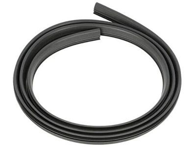 Ford 3C3Z-2820709-BA Weatherstrip On Body, Driver Side
