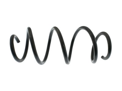 Ford FR3Z-5310-C Spring - Front