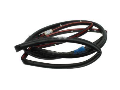 Ford BM5Z-5820708-A Weatherstrip Assembly - Door Opening, Passenger Side