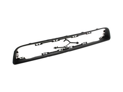 Ford DR3Z-8419-BA Molding