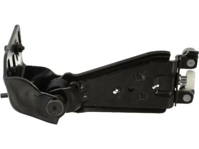 Ford DT1Z-9926801-B Hinge Assembly, Driver Side