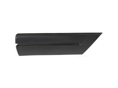 Ford 5W7Z-16036-APTM Body Side Molding, Passenger Side