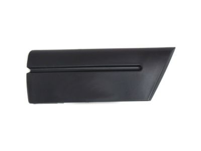 Ford 5W7Z-16036-APTM Body Side Molding, Passenger Side