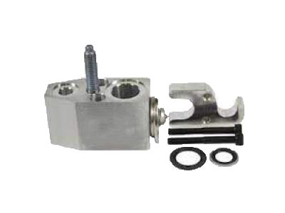 Ford A/C Expansion Valve - AV1Z-19849-B