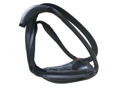 Ford AL3Z-1651222-A Weatherstrip