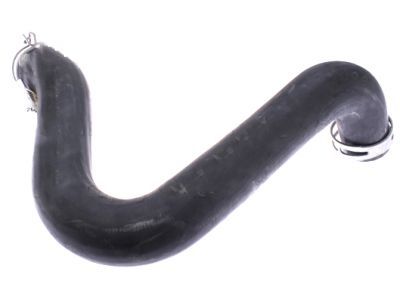 1999 Ford F-250 Super Duty Radiator Hose - F81Z-8260-CA