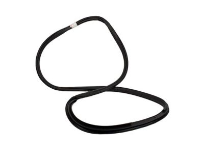 Ford FL3Z-16253A10-A Weatherstrip Assy - Door Opening