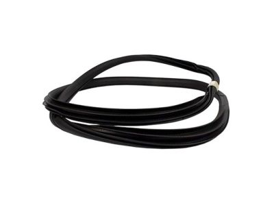 Ford FL3Z-16253A10-A Weatherstrip Assy - Door Opening
