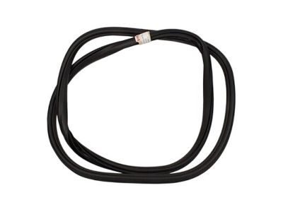 Ford FL3Z-16253A10-A Weatherstrip Assy - Door Opening